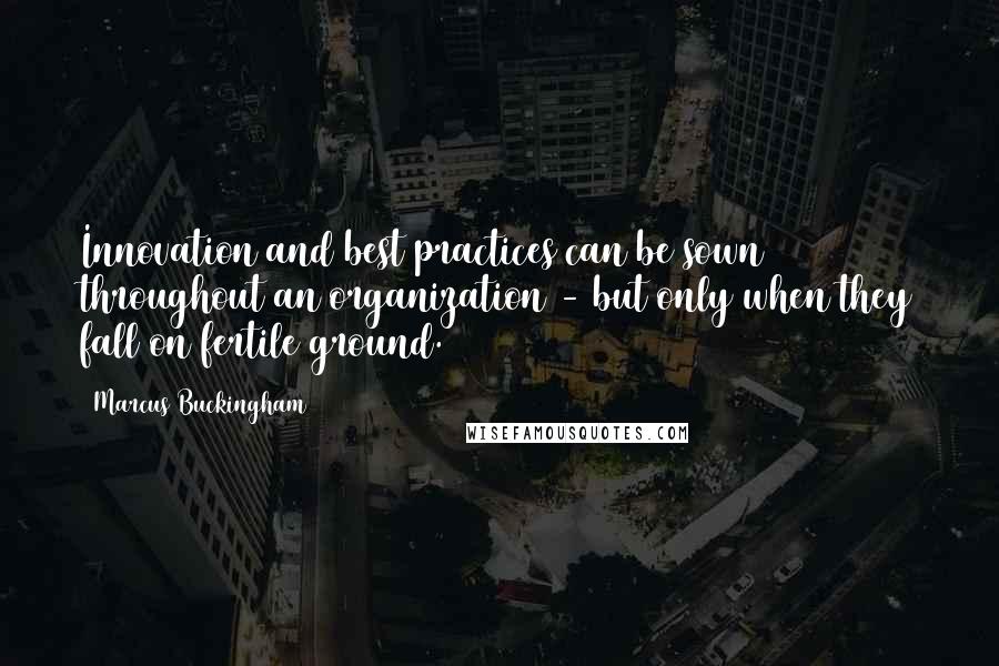 Marcus Buckingham Quotes: Innovation and best practices can be sown throughout an organization - but only when they fall on fertile ground.