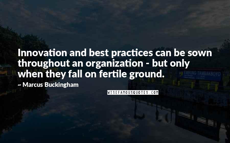 Marcus Buckingham Quotes: Innovation and best practices can be sown throughout an organization - but only when they fall on fertile ground.