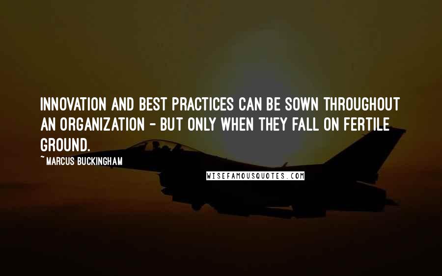 Marcus Buckingham Quotes: Innovation and best practices can be sown throughout an organization - but only when they fall on fertile ground.