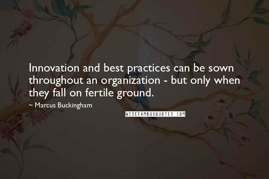 Marcus Buckingham Quotes: Innovation and best practices can be sown throughout an organization - but only when they fall on fertile ground.