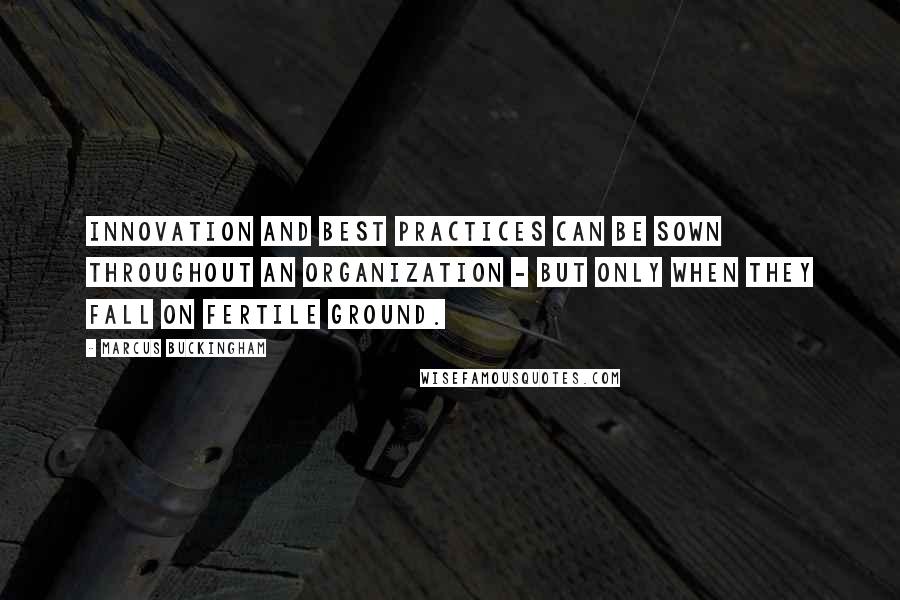 Marcus Buckingham Quotes: Innovation and best practices can be sown throughout an organization - but only when they fall on fertile ground.