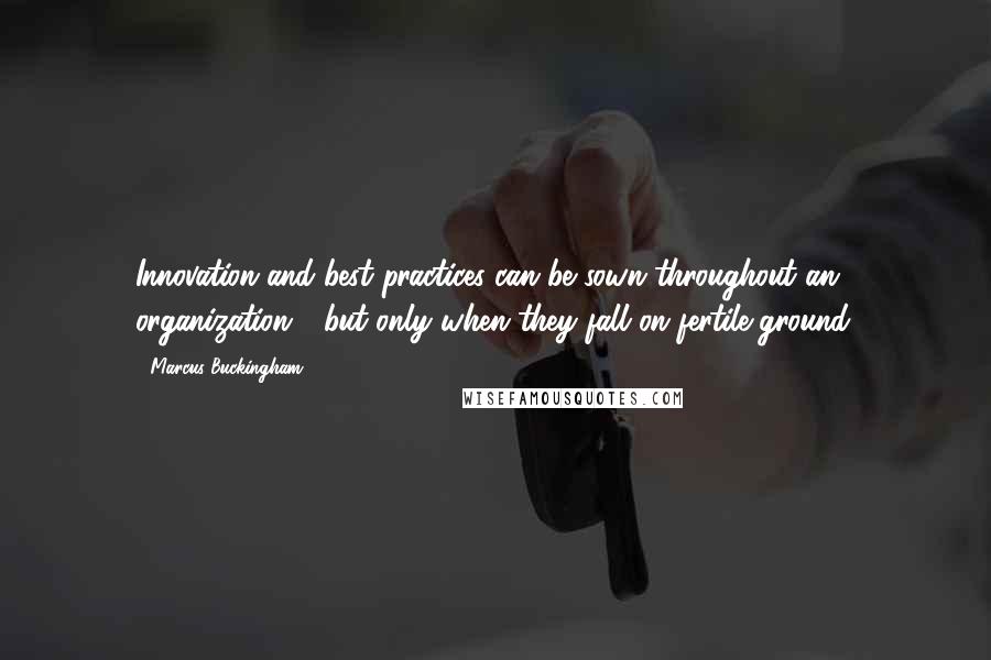 Marcus Buckingham Quotes: Innovation and best practices can be sown throughout an organization - but only when they fall on fertile ground.