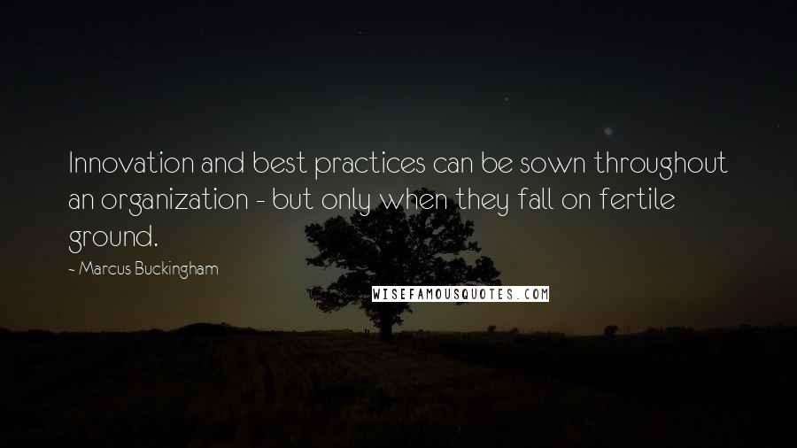 Marcus Buckingham Quotes: Innovation and best practices can be sown throughout an organization - but only when they fall on fertile ground.