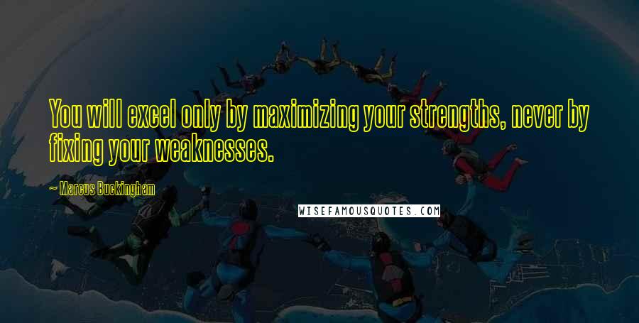 Marcus Buckingham Quotes: You will excel only by maximizing your strengths, never by fixing your weaknesses.