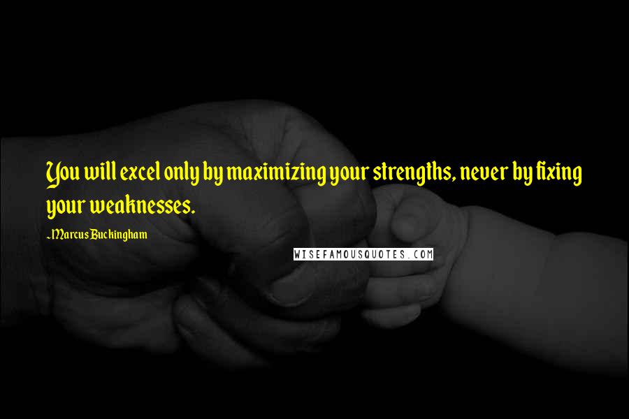 Marcus Buckingham Quotes: You will excel only by maximizing your strengths, never by fixing your weaknesses.