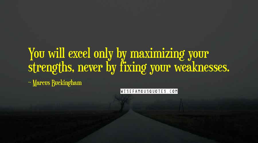 Marcus Buckingham Quotes: You will excel only by maximizing your strengths, never by fixing your weaknesses.
