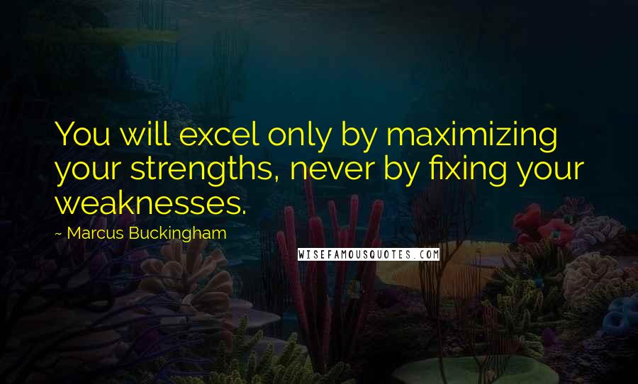 Marcus Buckingham Quotes: You will excel only by maximizing your strengths, never by fixing your weaknesses.