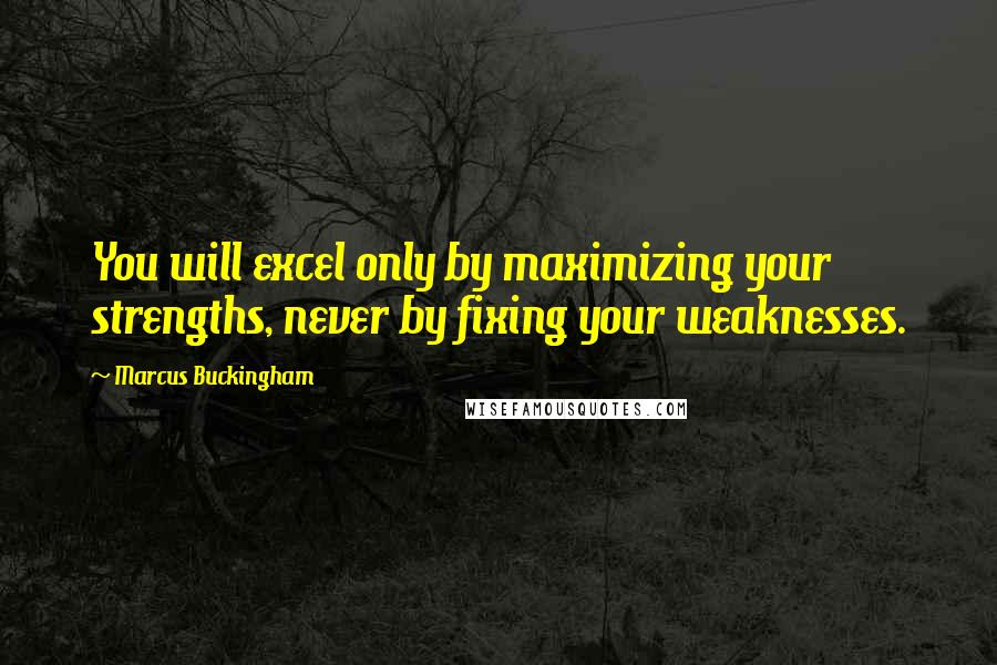Marcus Buckingham Quotes: You will excel only by maximizing your strengths, never by fixing your weaknesses.