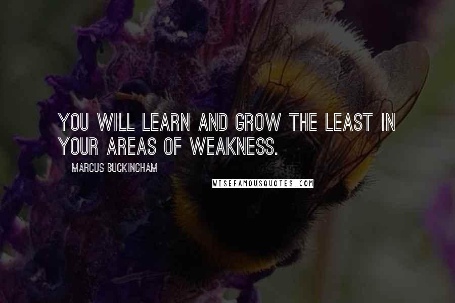 Marcus Buckingham Quotes: You will learn and grow the least in your areas of weakness.