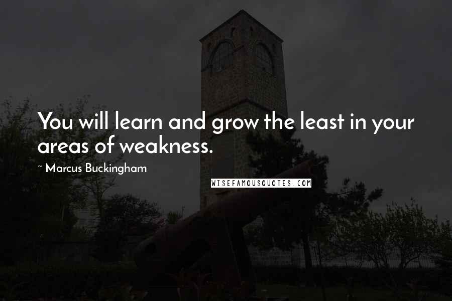 Marcus Buckingham Quotes: You will learn and grow the least in your areas of weakness.