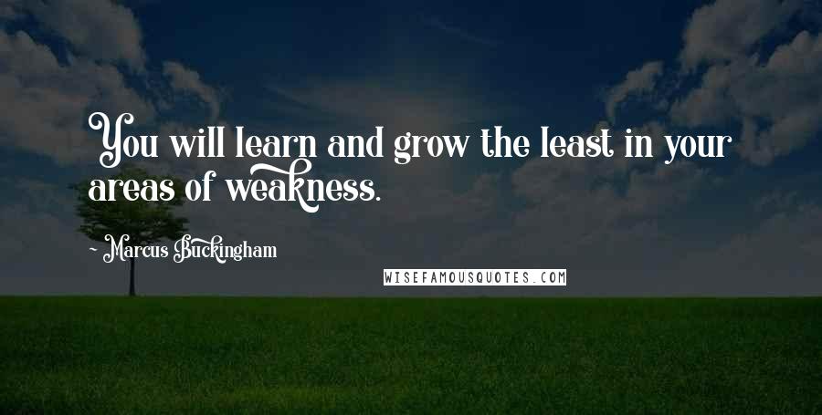 Marcus Buckingham Quotes: You will learn and grow the least in your areas of weakness.