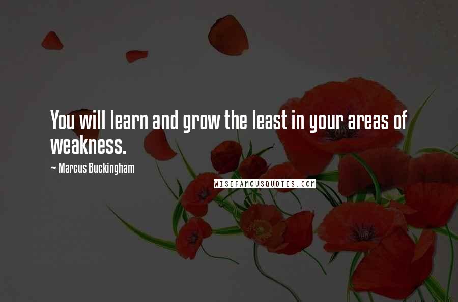 Marcus Buckingham Quotes: You will learn and grow the least in your areas of weakness.