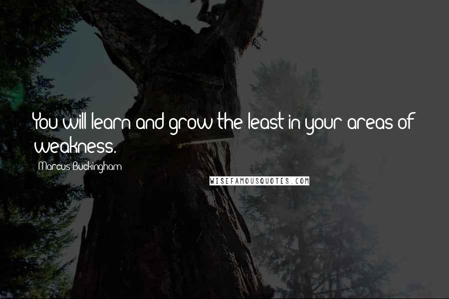 Marcus Buckingham Quotes: You will learn and grow the least in your areas of weakness.