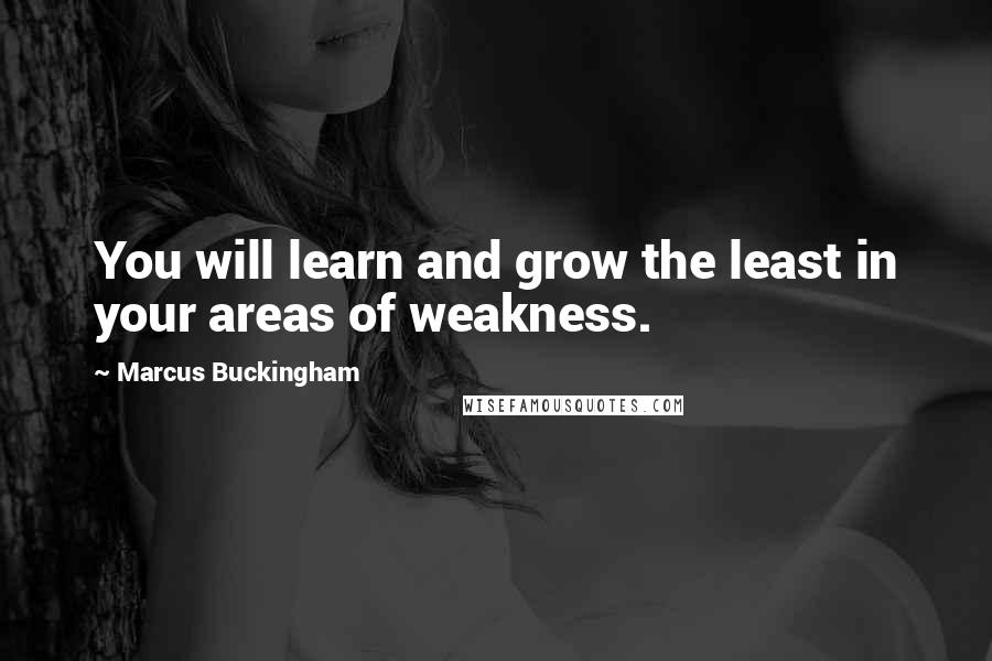 Marcus Buckingham Quotes: You will learn and grow the least in your areas of weakness.