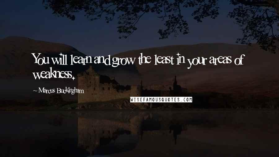 Marcus Buckingham Quotes: You will learn and grow the least in your areas of weakness.