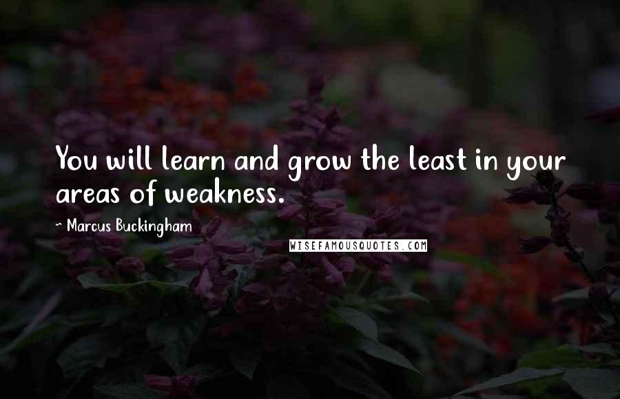 Marcus Buckingham Quotes: You will learn and grow the least in your areas of weakness.