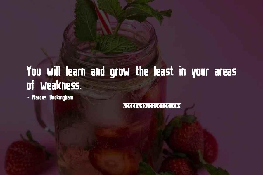 Marcus Buckingham Quotes: You will learn and grow the least in your areas of weakness.