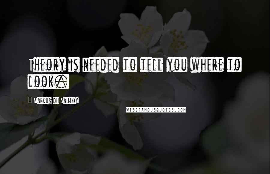 Marcus Du Sautoy Quotes: Theory is needed to tell you where to look.
