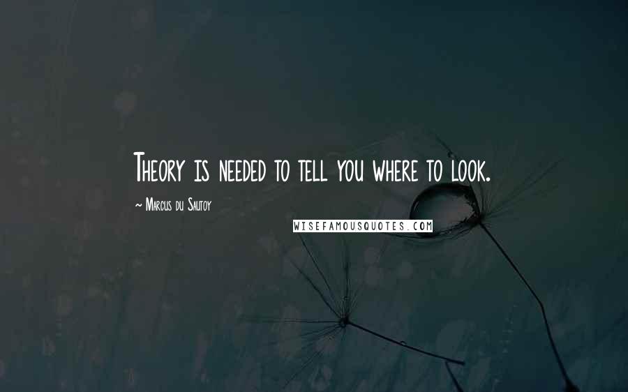 Marcus Du Sautoy Quotes: Theory is needed to tell you where to look.