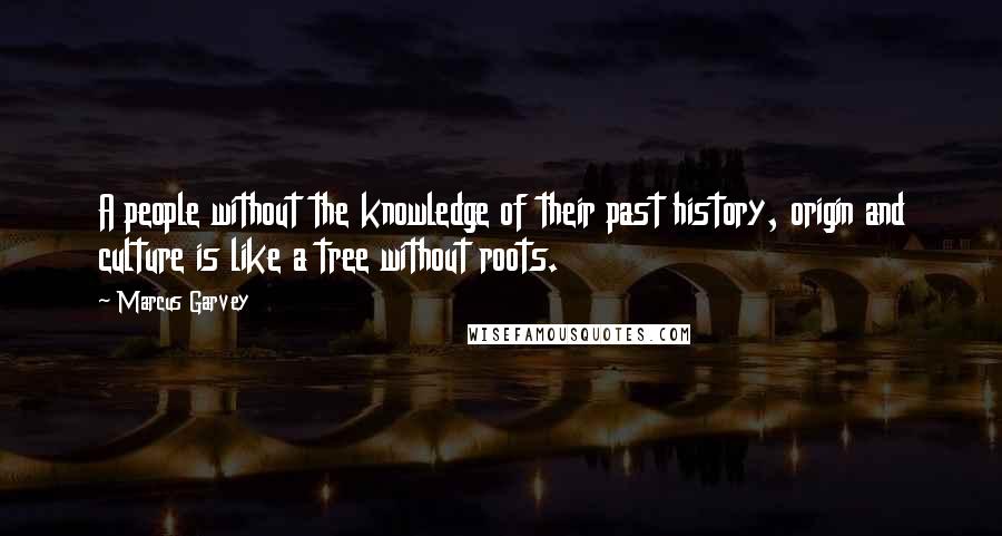 Marcus Garvey Quotes: A people without the knowledge of their past history, origin and culture is like a tree without roots.