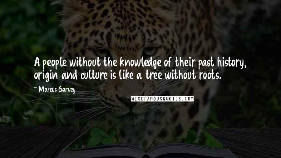 Marcus Garvey Quotes: A people without the knowledge of their past history, origin and culture is like a tree without roots.