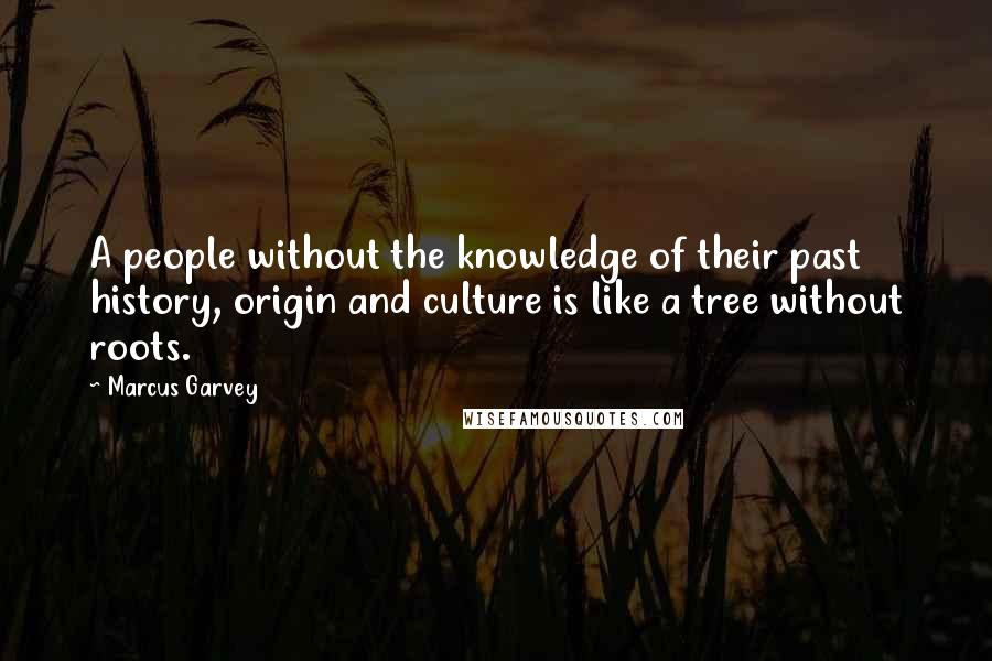 Marcus Garvey Quotes: A people without the knowledge of their past history, origin and culture is like a tree without roots.