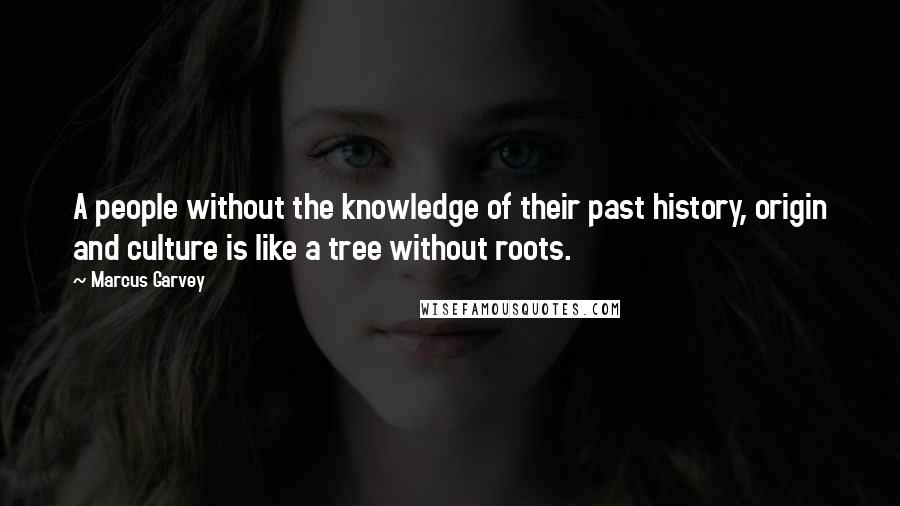 Marcus Garvey Quotes: A people without the knowledge of their past history, origin and culture is like a tree without roots.