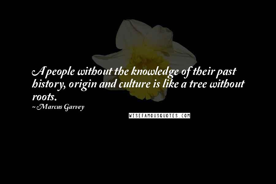 Marcus Garvey Quotes: A people without the knowledge of their past history, origin and culture is like a tree without roots.