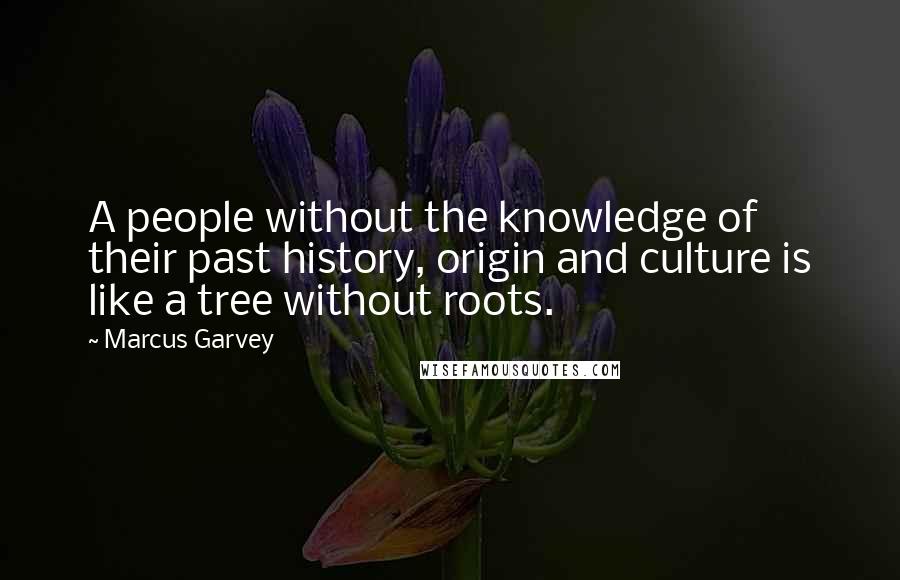 Marcus Garvey Quotes: A people without the knowledge of their past history, origin and culture is like a tree without roots.