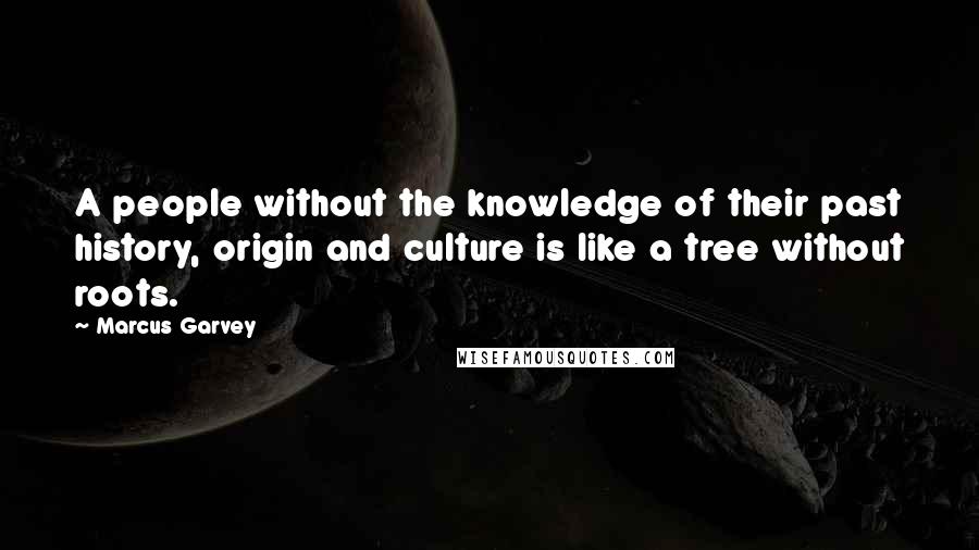 Marcus Garvey Quotes: A people without the knowledge of their past history, origin and culture is like a tree without roots.