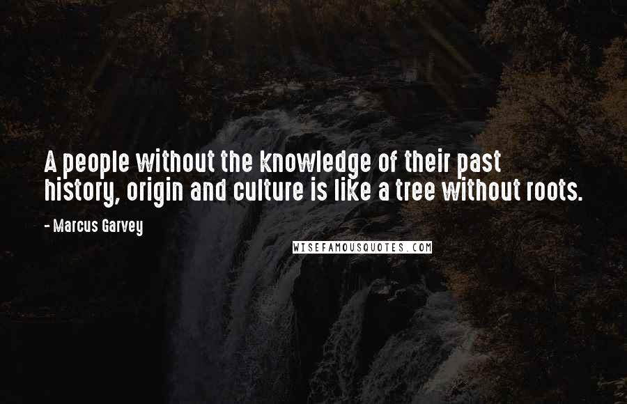 Marcus Garvey Quotes: A people without the knowledge of their past history, origin and culture is like a tree without roots.