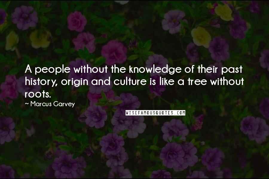 Marcus Garvey Quotes: A people without the knowledge of their past history, origin and culture is like a tree without roots.