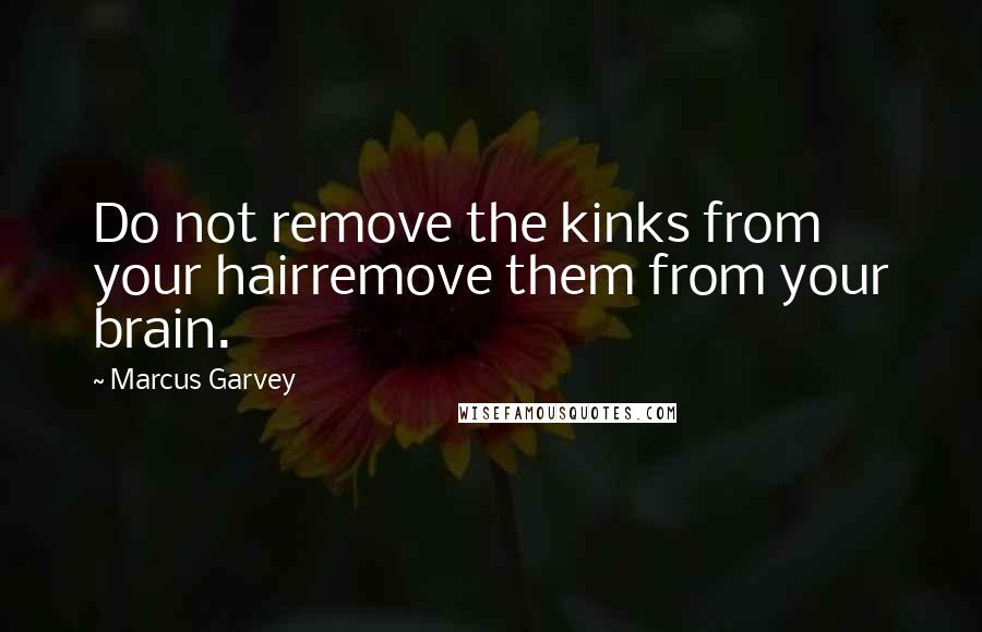 Marcus Garvey Quotes: Do not remove the kinks from your hairremove them from your brain.