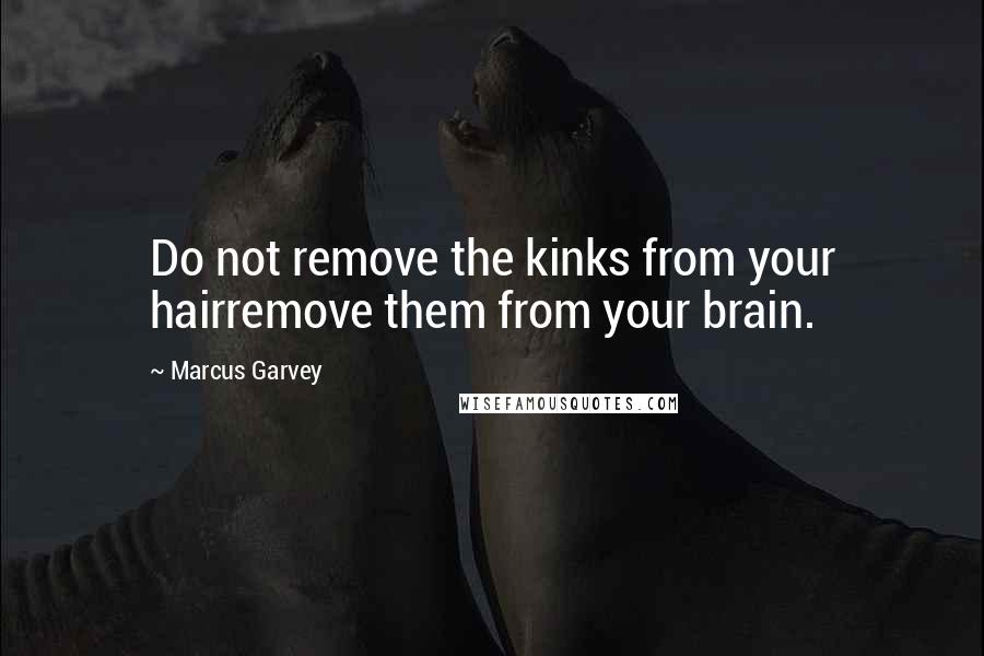 Marcus Garvey Quotes: Do not remove the kinks from your hairremove them from your brain.