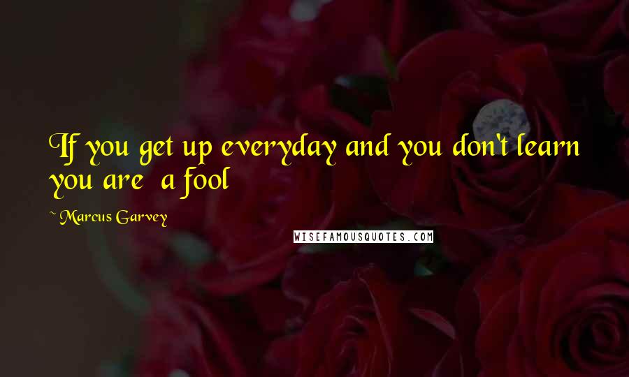 Marcus Garvey Quotes: If you get up everyday and you don't learn you are a fool
