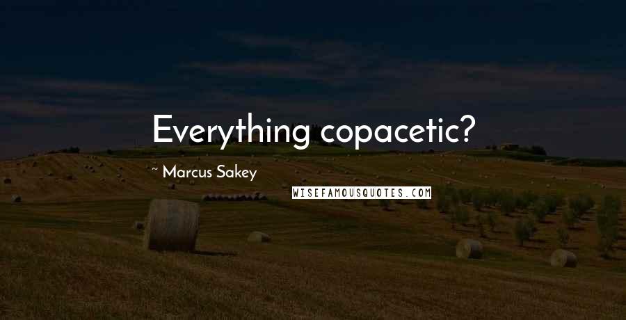 Marcus Sakey Quotes: Everything copacetic?