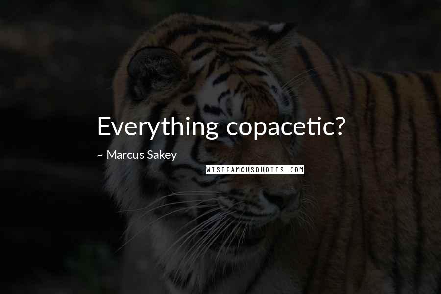 Marcus Sakey Quotes: Everything copacetic?