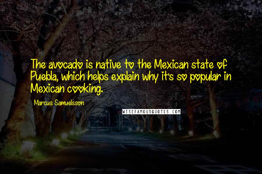 Marcus Samuelsson Quotes: The avocado is native to the Mexican state of Puebla, which helps explain why it's so popular in Mexican cooking.