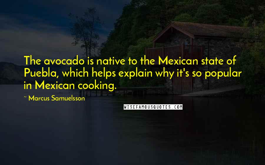 Marcus Samuelsson Quotes: The avocado is native to the Mexican state of Puebla, which helps explain why it's so popular in Mexican cooking.