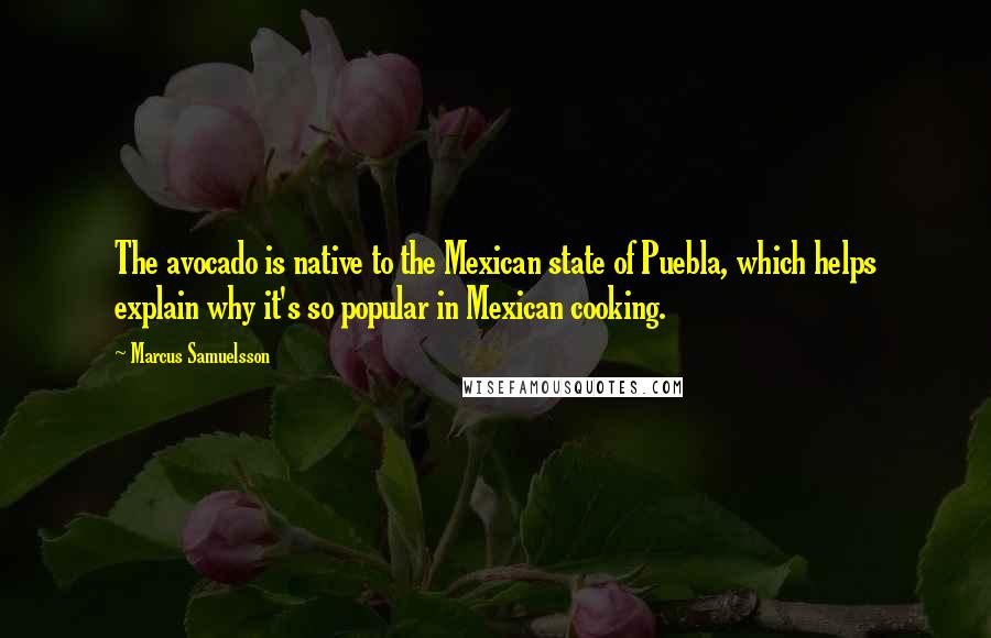 Marcus Samuelsson Quotes: The avocado is native to the Mexican state of Puebla, which helps explain why it's so popular in Mexican cooking.