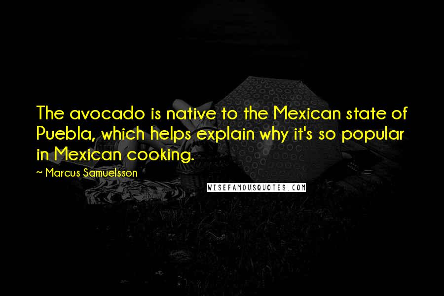 Marcus Samuelsson Quotes: The avocado is native to the Mexican state of Puebla, which helps explain why it's so popular in Mexican cooking.