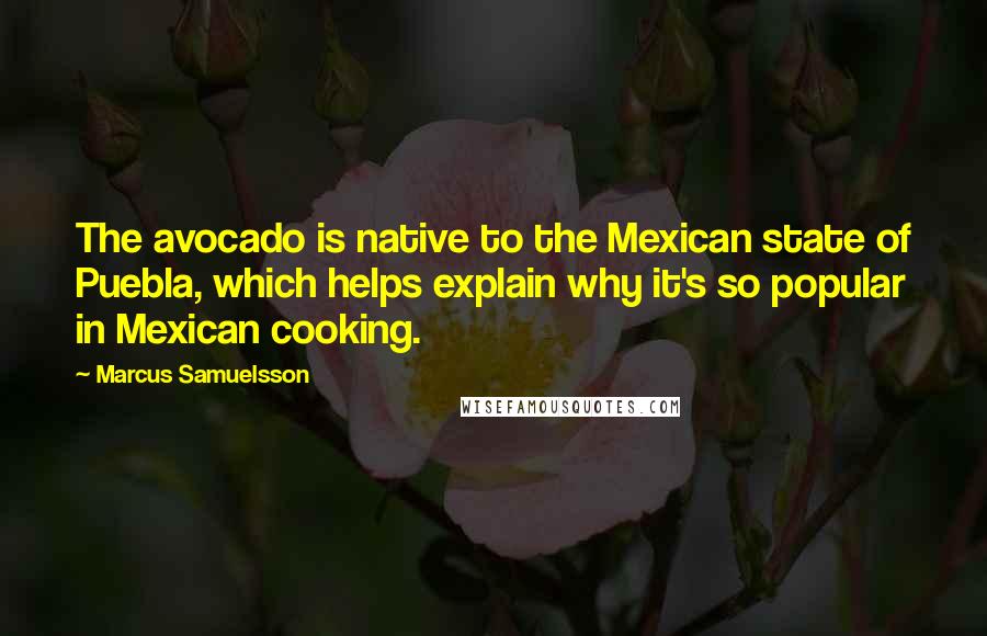 Marcus Samuelsson Quotes: The avocado is native to the Mexican state of Puebla, which helps explain why it's so popular in Mexican cooking.