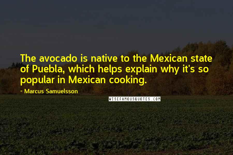 Marcus Samuelsson Quotes: The avocado is native to the Mexican state of Puebla, which helps explain why it's so popular in Mexican cooking.