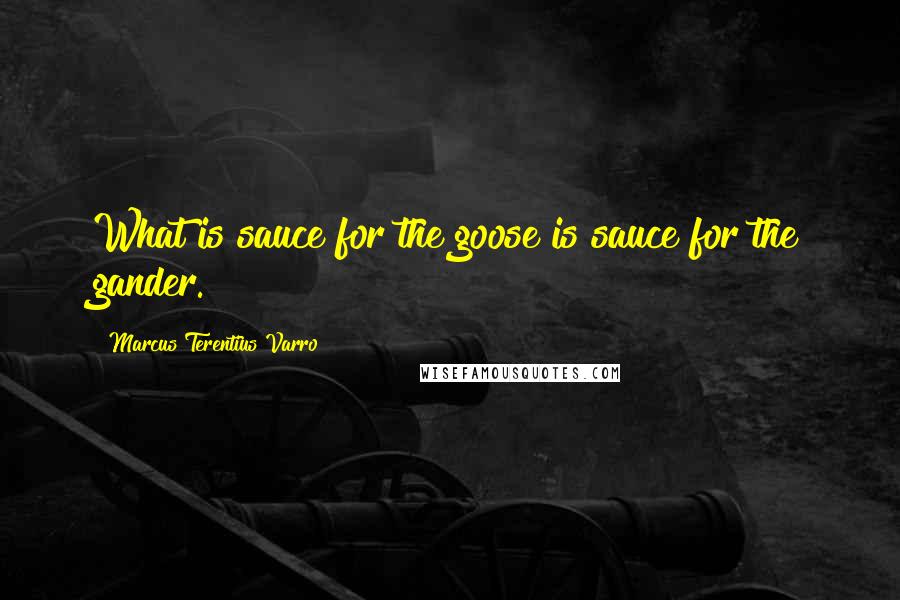 Marcus Terentius Varro Quotes: What is sauce for the goose is sauce for the gander.