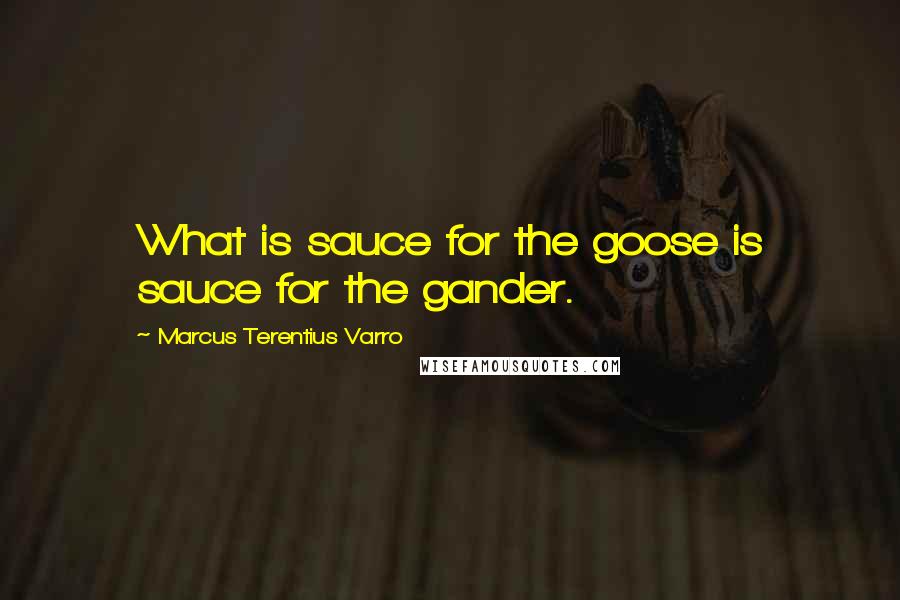 Marcus Terentius Varro Quotes: What is sauce for the goose is sauce for the gander.