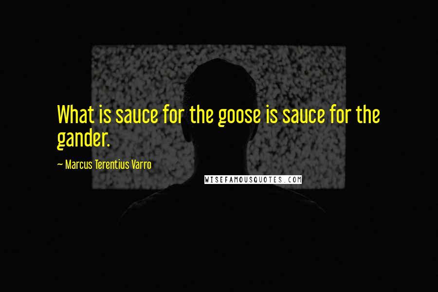 Marcus Terentius Varro Quotes: What is sauce for the goose is sauce for the gander.