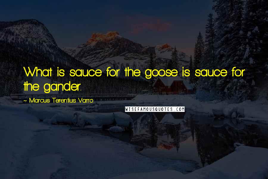 Marcus Terentius Varro Quotes: What is sauce for the goose is sauce for the gander.