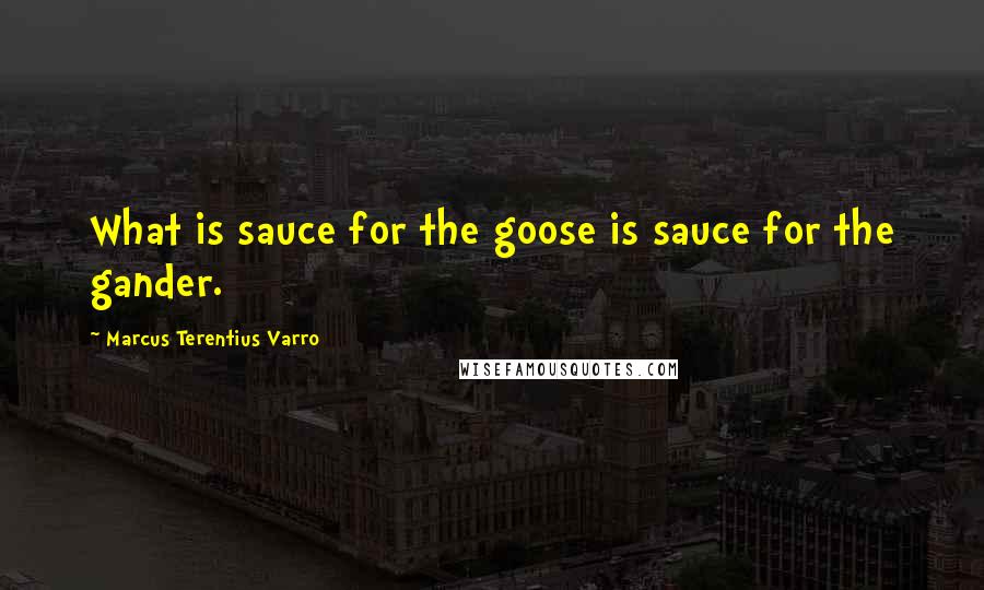 Marcus Terentius Varro Quotes: What is sauce for the goose is sauce for the gander.