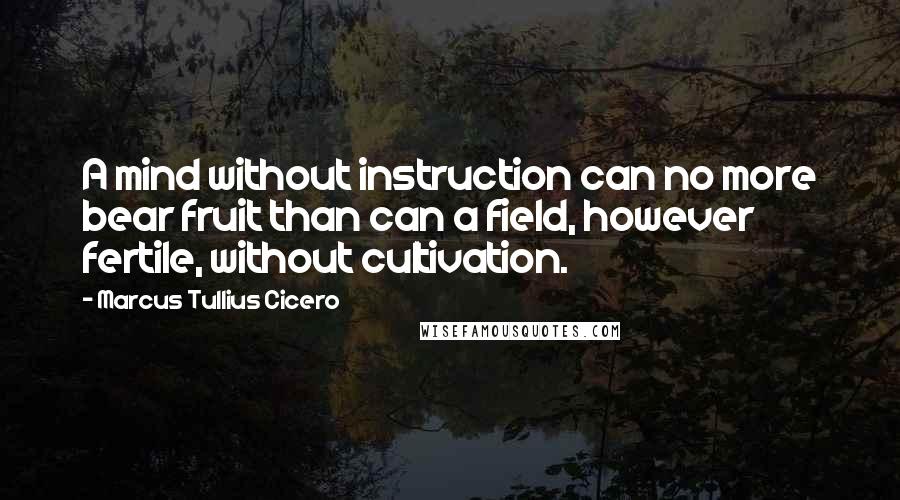 Marcus Tullius Cicero Quotes: A mind without instruction can no more bear fruit than can a field, however fertile, without cultivation.