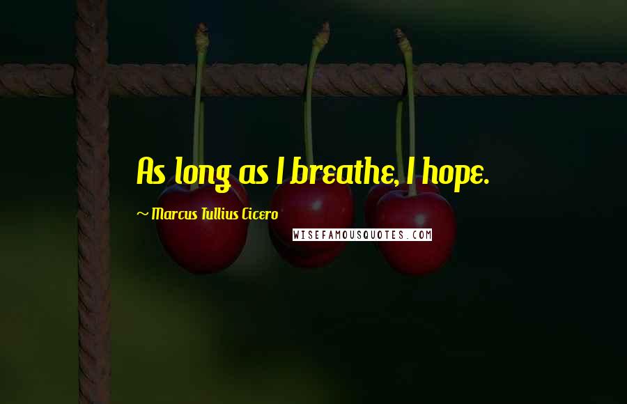 Marcus Tullius Cicero Quotes: As long as I breathe, I hope.